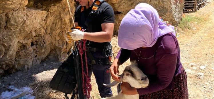 Mersin'de uçurumda mahsur kalan keçiyi itfaiye kurtardı