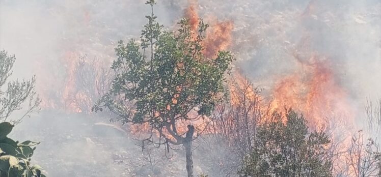 Mersin'de zirai alanda çıkan yangın söndürüldü