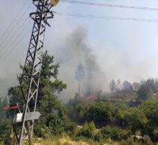 Muğla'da evde başlayan yangın ormana sıçradı