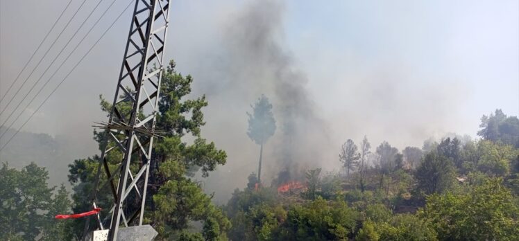 Muğla'da evde başlayan yangın ormana sıçradı