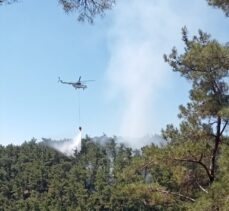 Muğla'da ormanlık alanda çıkan yangın söndürüldü