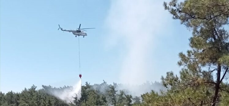 Muğla'da ormanlık alanda çıkan yangın söndürüldü