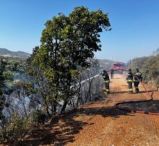 Muğla'nın Datça ilçesinde makilik alanda çıkan yangın kontrol altına alındı