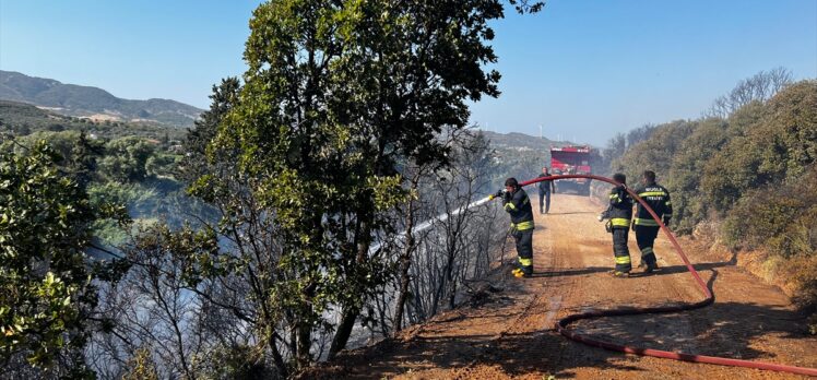 Muğla'nın Datça ilçesinde makilik alanda çıkan yangın kontrol altına alındı