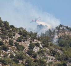 GÜNCELLEME – Muğla'nın Milas ilçesinde çıkan ikinci orman yangını söndürüldü