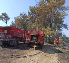 GÜNCELLEME – Muğla'nın Milas ilçesinde çıkan orman yangını kontrol altında