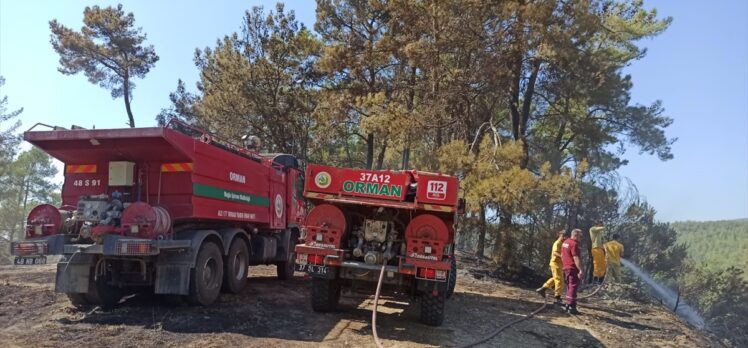 GÜNCELLEME – Muğla'nın Milas ilçesinde çıkan orman yangını kontrol altında