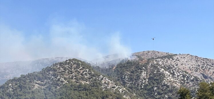 Muğla'nın Milas ilçesinde orman yangını çıktı