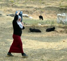 Muş'ta kadınların yayla mesaisi sürüyor