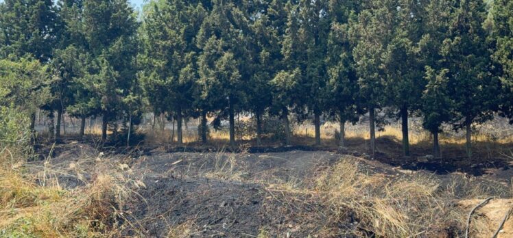 GÜNCELLEME – Sancaktepe'de ormanlık alana sıçrayan yangın söndürüldü