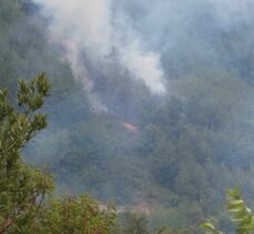 Sinop'ta çıkan orman yangını kontrol altına alındı