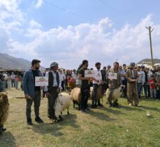 Şırnak'ta “Geleneksel Kuzu Kırpma Kültür ve Yayla Festivali” etkinliklerle sürüyor