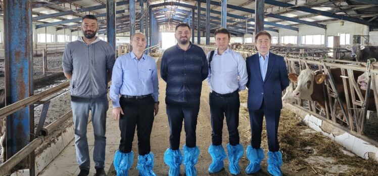 TARSİM'den Erzurum'daki sigortalı büyükbaş hayvan işletmesine ziyaret