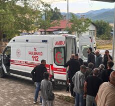 Tunceli'de yıldırım isabet eden 2 kişi yaralandı