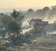 Uşak'ta tarlada başlayıp ormanlık alana sıçrayan yangın kontrol altına alındı