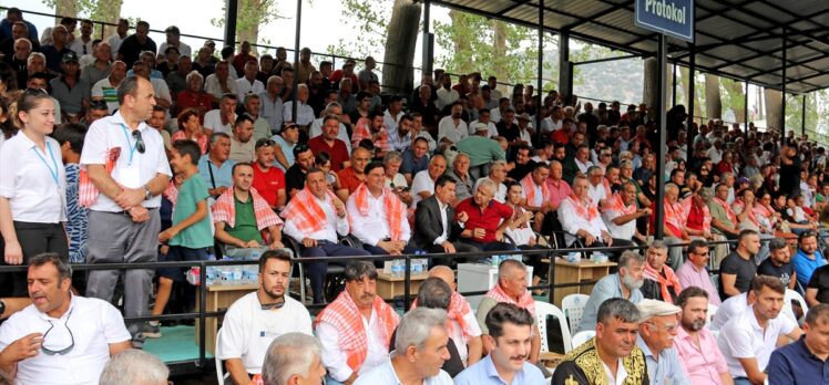 31. Geleneksel Yayla Seki Yağlı Güreşleri'nde başpehlivanlığı Mustafa Doğan Özkaya kazandı