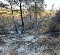 GÜNCELLEME – Adana'da ormanlık alana sıçrayan yangın kontrol altına alındı