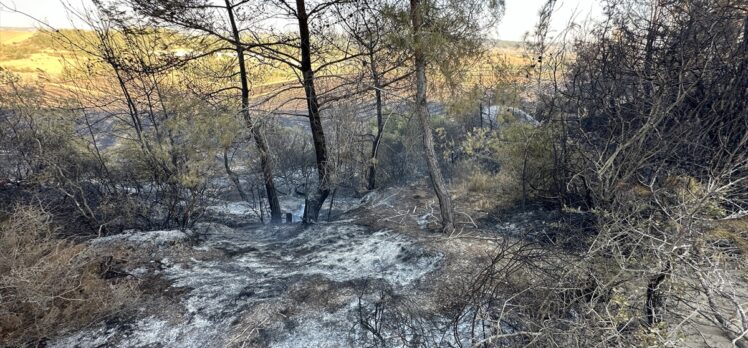 GÜNCELLEME – Adana'da ormanlık alana sıçrayan yangın kontrol altına alındı