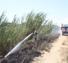 Antalya'da sazlık alanda çıkıp tarım arazisine sıçrayan yangın söndürüldü