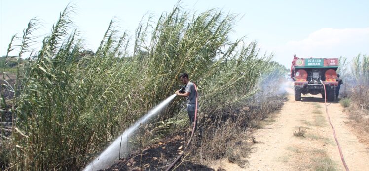 Antalya'da sazlık alanda çıkıp tarım arazisine sıçrayan yangın söndürüldü