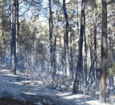 GÜNCELLEME – Antalya'nın Serik ilçesindeki orman yangını kontrol altına alındı