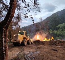 Artvin'in Şavşat ilçesindeki yangında 3 ev kullanılmaz hale geldi