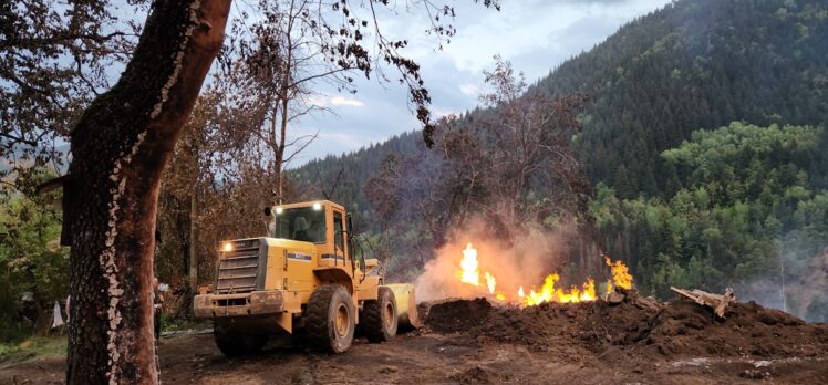 Artvin'in Şavşat ilçesindeki yangında 3 ev kullanılmaz hale geldi