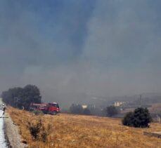 Aydın'da makilik alanda çıkan yangına müdahale ediliyor