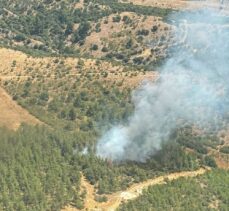 Balıkesir'de çıkan orman yangını kontrol altına alındı