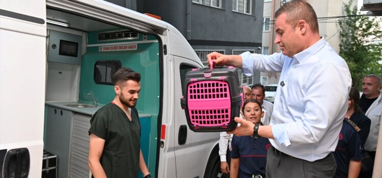 Balıkesir'de yangından kurtarılan kedi yavrusu “Biber” sahibine teslim edildi