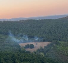 Balıkesir'in İvrindi ilçesinde çıkan orman yangını kontrol altına alındı