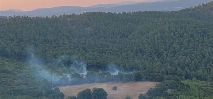 Balıkesir'in İvrindi ilçesinde çıkan orman yangını kontrol altına alındı