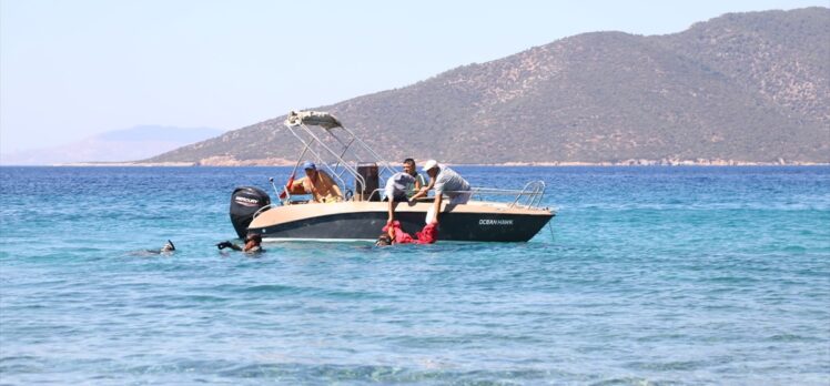 Bodrum'da gönüllü dalgıçlar deniz dibi temizliğini Çiftlik Koyu'nda tamamladı