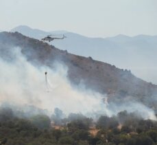 Bodrum'da makilik alandan zeytinliğe sıçrayan yangına müdahale ediliyor