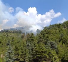 Burdur'da çıkan orman yangını söndürüldü