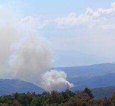 Bursa'da ormanlık alanda çıkan yangına müdahale ediliyor