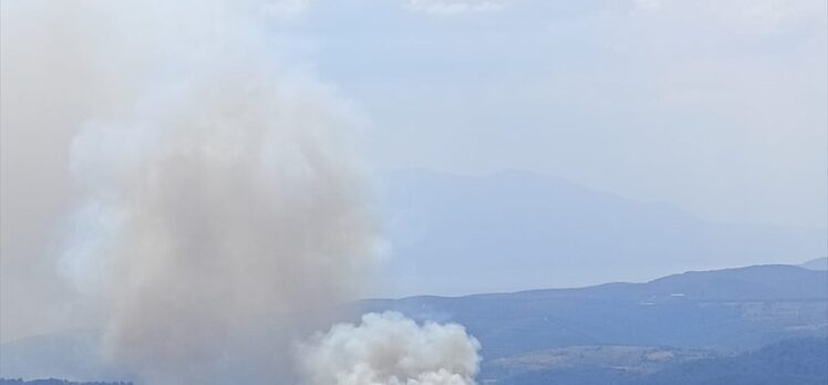 Bursa'da ormanlık alanda çıkan yangına müdahale ediliyor