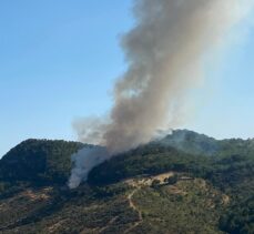 Çanakkale'nin Ayvacık ilçesindeki orman yangınına müdahale ediliyor