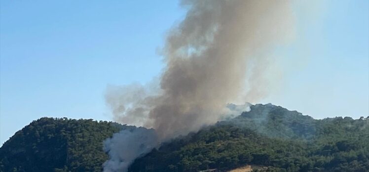 Çanakkale'nin Ayvacık ilçesindeki orman yangınına müdahale ediliyor