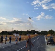 Edirne'de çıkan orman yangını söndürüldü