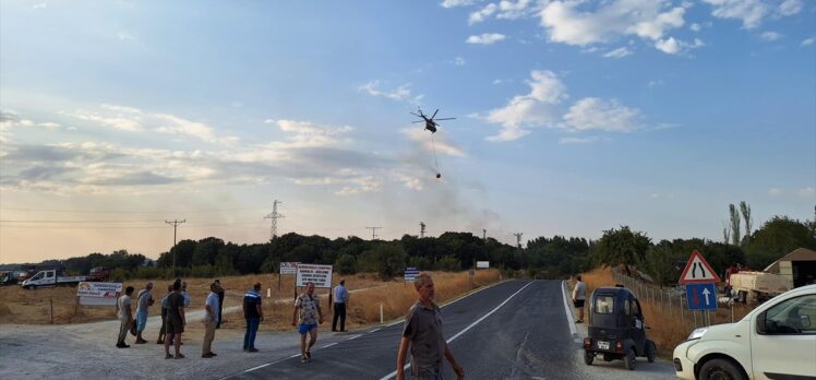 Edirne'de çıkan orman yangını söndürüldü