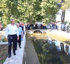 Edirne'de üretilen 10 milyon yavru sazan balığı baraj ve göletlere bırakıldı