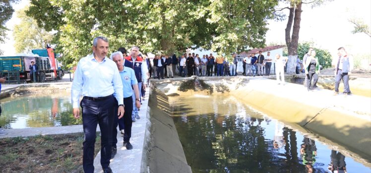 Edirne'de üretilen 10 milyon yavru sazan balığı baraj ve göletlere bırakıldı