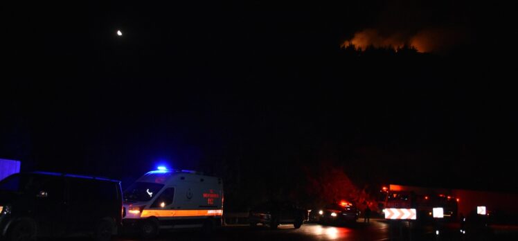 İzmir Kemalpaşa'da çıkan orman yangını kontrol altına alındı