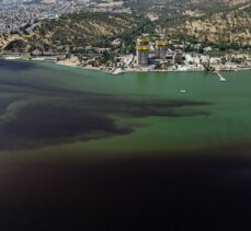 İzmir Körfezi'ndeki balık ölümleriyle ilgili inceleme başlatıldı