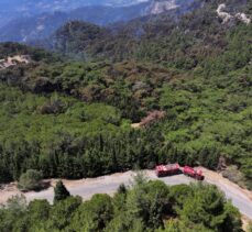 İzmir Yamanlar ve Urla ile Bolu Göynük'teki orman yangınları kontrol altına alındı (2)