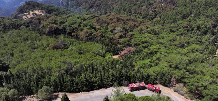 İzmir Yamanlar ve Urla ile Bolu Göynük'teki orman yangınları kontrol altına alındı (2)