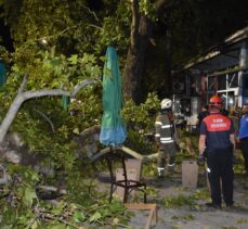 İzmir'de 9 kişi kırılan ağaç dallarının üzerlerine düşmesi sonucu yaralandı