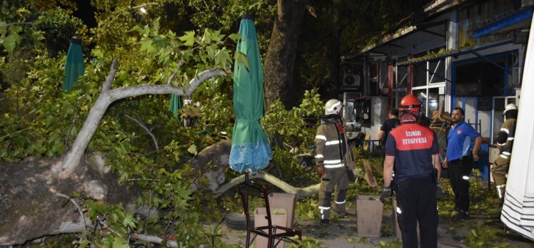 İzmir'de 9 kişi kırılan ağaç dallarının üzerlerine düşmesi sonucu yaralandı