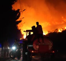 İzmir'in Urla ilçesinde makilik alanda yangın çıktı